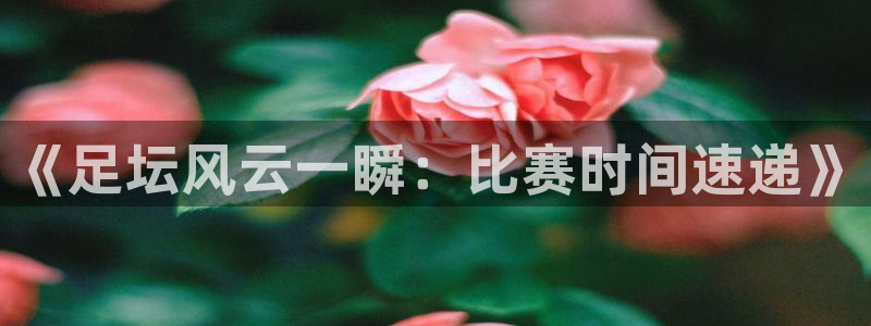  《足坛风云一瞬：比赛时间速递》