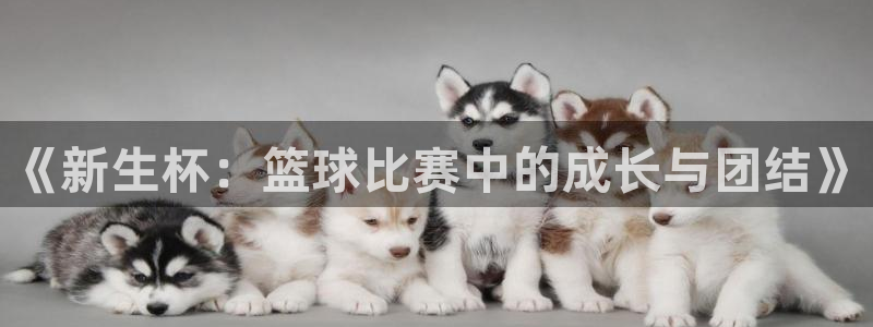  《新生杯：篮球比赛中的成长与团结》