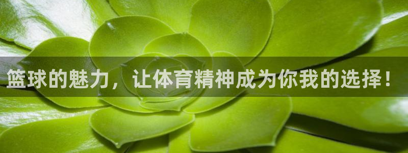  篮球的魅力，让体育精神成为你我的选择！