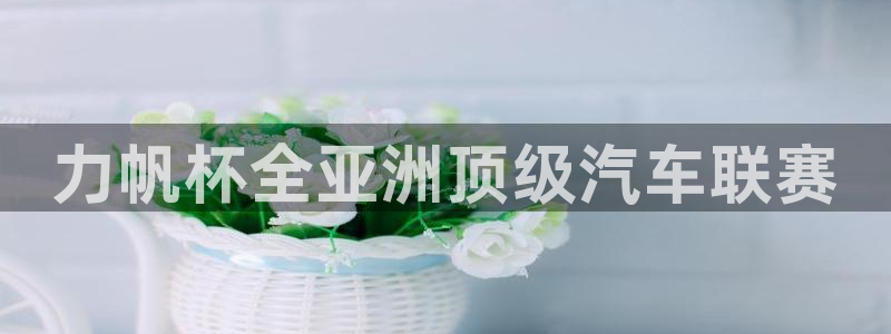  力帆杯全亚洲顶级汽车联赛