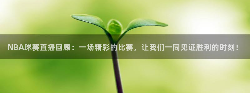  NBA球赛直播回顾：一场精彩的比赛，让我们一同见证胜利的时刻