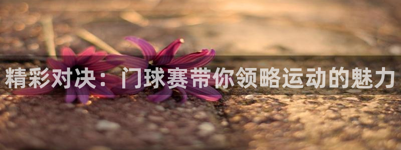  精彩对决：门球赛带你领略运动的魅力