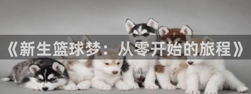  emc易倍全站官网：《新生篮球梦：从零开始的旅程》
