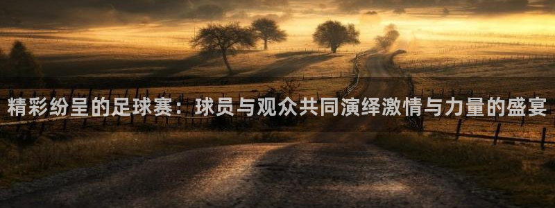 emc易倍平台：精彩纷呈的足球赛：球员与观众共同演绎激情与力