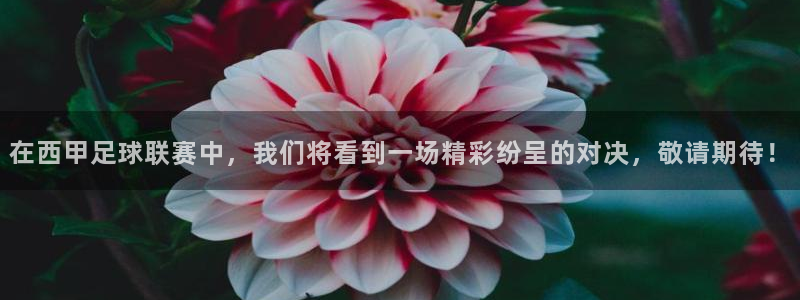  emc全站下载：在西甲足球联赛中，我们将看到一场精彩纷呈的对