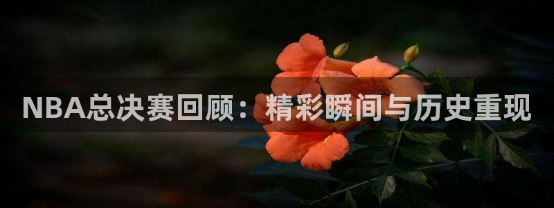 emc全站易倍：NBA总决赛回顾：精彩瞬间与历史重现