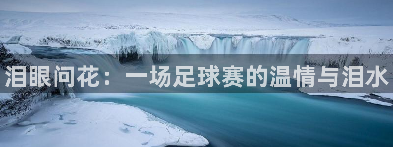  emc下载ios：泪眼问花：一场足球赛的温情与泪水