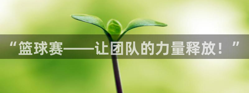易倍emc官网：“篮球赛——让团队的力量释放！”