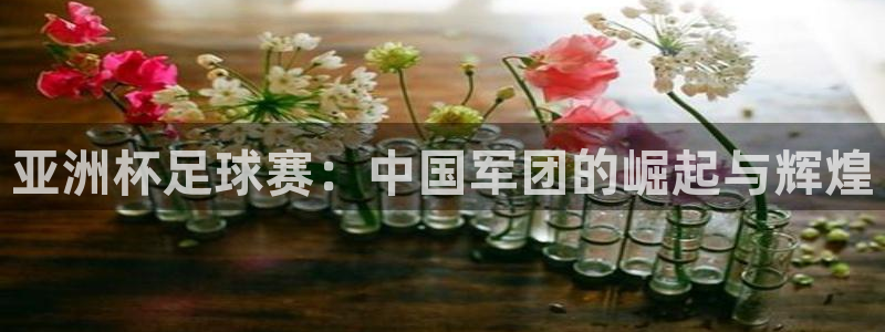 emc易倍·体育贴吧：亚洲杯足球赛：中国军团的崛起与辉煌