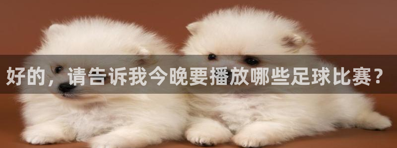  emc易倍下载：好的，请告诉我今晚要播放哪些足球比赛？
