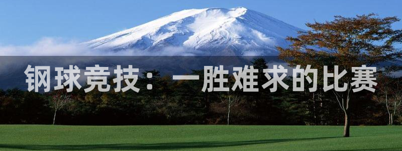  emc易倍·体育赞助了哪些：钢球竞技：一胜难求的比赛